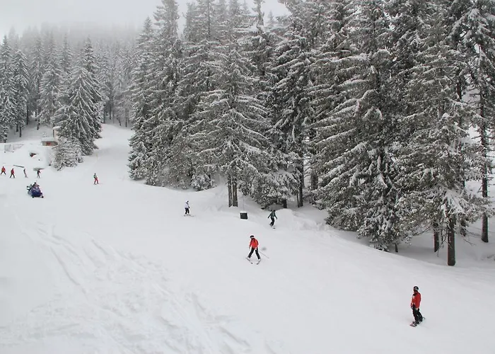 Stenata Boutique Apartment *